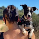 Jocelyne & Persephone