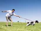 dog dominance