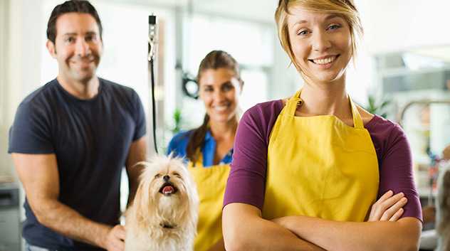 pet care