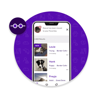 Read Pet Bios
