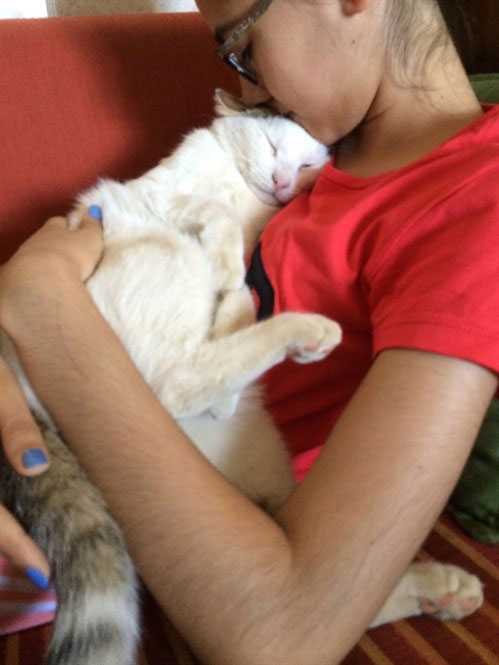 Cats love