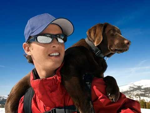 disaster animal response team volunteer