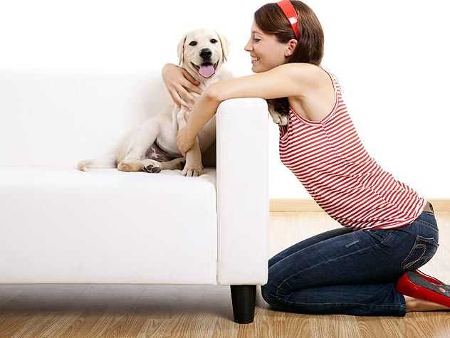 Girl petting dog on a couch