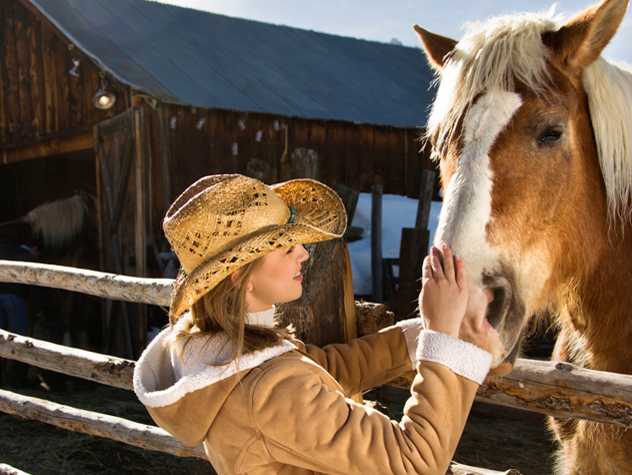 Horses Who Heal