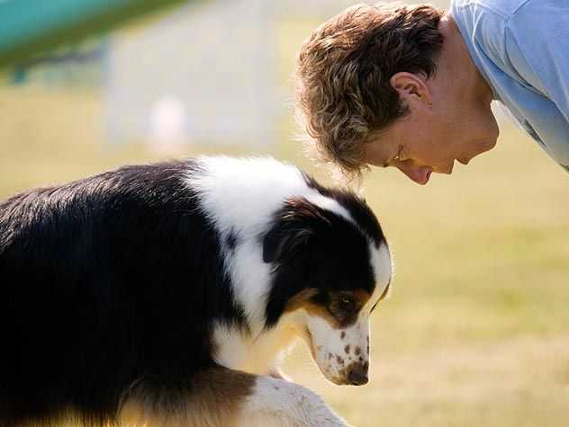Training a Dog