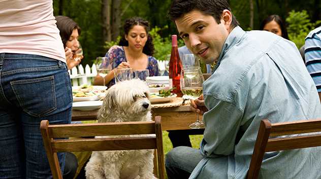 dog with family