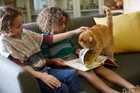 play with cat