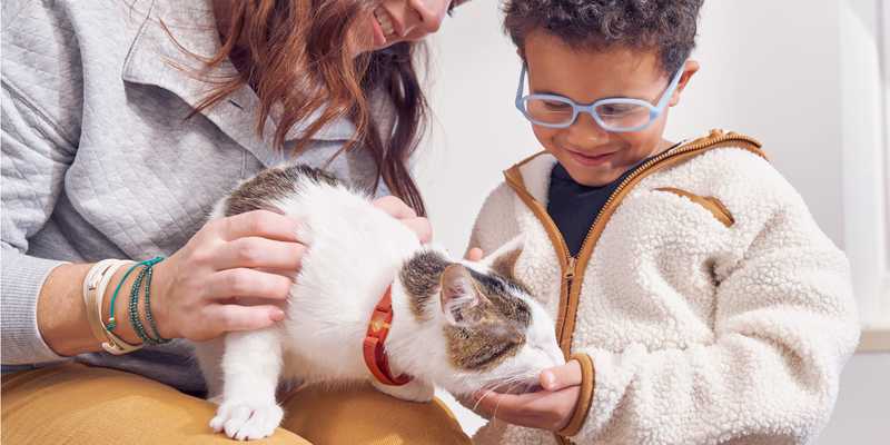Woman holding cat, while cat gently eats from child's hand